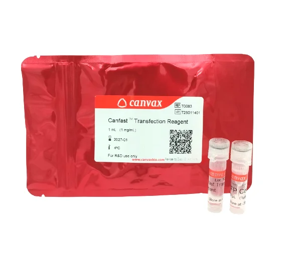 CanFast™ Transfection Reagent – Canvax