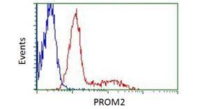 HEK293T cells transfected with either Myc/DDK tagged PROM2 ORF overexpression plasmid (red) or empty vector control plasmid (blue) were immunostained with OriGene anti-DDK antibody (TA50011, 1:1000) and analyzed by flow cytometry.