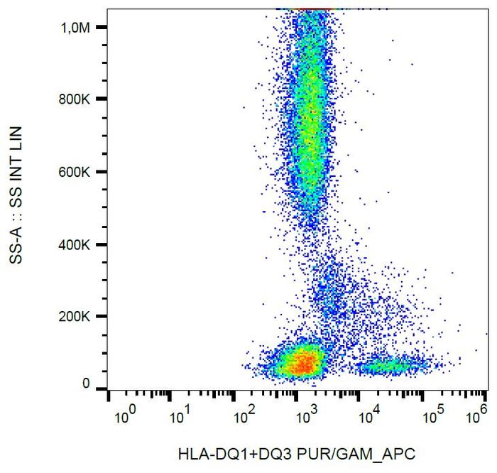Surface staining of human peripheral blood cells with anti-HLA-DQ1+DQ3 (HL-37) purified, GAM-APC.