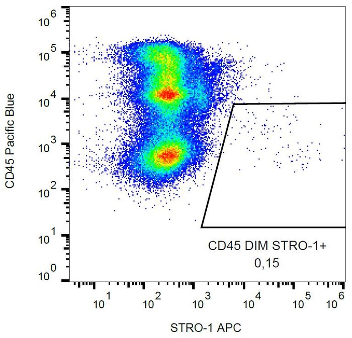 Surface staining of human peripheral blood with anti-STRO-1 (STRO-1) APC.