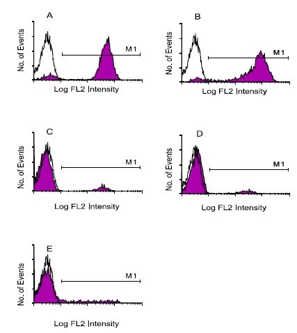 <strong>Immunofluorescent Staining:</strong> Human peripheral blood mononuclear cells were labeled with either Mouse anti-Human CD3 (IgG1) (A), anti-Human CD5 (IgG2a) (B), anti-Human CD22 (IgG2b) (C), anti-Human IgD (IgG3) (D) or anti-Human CD57 (IgM) (E). After washing the cells were then stained with Goat anti-Mouse Ig-R-PE Cat.-No AP32278RP (0.1 µg/10<sup>6</sup> cells), following which lymphocytes were gated and analyzed by Flow Cytometry.