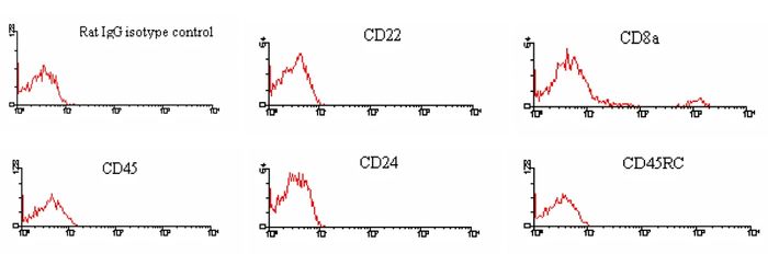 <strong>Immunofluorescent Staining:</strong> BALB/c splenocytes were incubated with Rat IgG1 Isotype Control, Rat anti-Mouse CD22 (2D6, Rat IgG1), Rat anti-Mouse CD8 (53-6.7, Rat IgG2a), Rat anti-Mouse CD45 (LCA) (I3/2.3, Rat IgG2b), Rat anti-Mouse CD24 (30-F1, Rat IgG2c), and Rat anti-Mouse CD45RC (GL24, Rat IgM). After washing, the cells were stained with PE-labeled Mouse Anti-Rat IgG2a. Small Lymphocytes were gated and analyzed on a FACScan(TM) flow cytometer (BDIS, San Jose, CA). Amount Used: < / = 0.02 µg/10e6 cells.