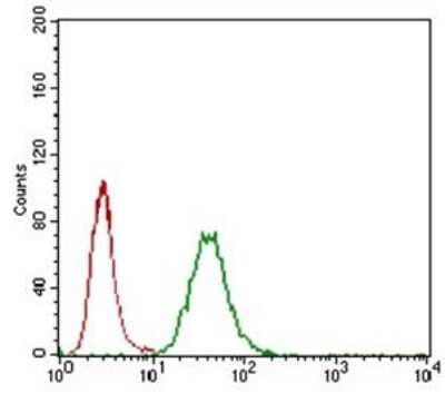 Flow Cytometry: LYVE-1 Antibody TA336490 - LYVE1 antibody was tested at 1:400 in A549 cells using an Alexa Fluor 488 secondary (shown in green) alongside unstained cells (shown in red).