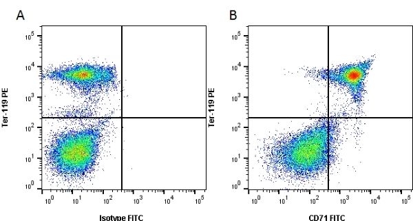 Figure A. RPE conjugated rat anti mouse TER-119 and FITC conjugated Rat IgG2a isotype control (<a href="https://www.bio-rad-antibodies.com/product/partnumber/MCA1212F.html">MCA1212F</a>) Figure B. RPE conjugated rat anti mouse TER-119 and FITC conjugated rat anti mouse CD71 (<strong>MCA2474F</strong>). All experiments performed on mouse bone marrow. Data acquired on the ZE5 Cell Analyzer.