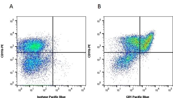 Figure A. RPE conjugated Rat anti Mouse CD11b antibody, clone 5C6 (<strong><a href="https://www.bio-rad-antibodies.com/product/partnumber/MCA711PE.html"target="_blank">MCA711PE</a></strong>) and Pacific Blue<sup>&reg;</sup> conjugated Rat IgG2b isotype control (<a href="https://www.bio-rad-antibodies.com/product/partnumber/MCA6006PB.html">MCA6006PB</a>). Figure B. RPE conjugated Rat anti Mouse CD11b antibody, clone 5C6 (<strong><a href="https://www.bio-rad-antibodies.com/product/partnumber/MCA711PE.html"target="_blank">MCA711PE</a></strong>) and Pacific Blue<sup>&reg;</sup> conjugated Rat anti Mouse Gr-1 antibody, clone RB6-8C5 (<strong>MCA2387PB</strong>). All experiments performed on red cell lysed mouse bone marrow gated on mononuclear cells in the presence of Mouse Seroblock (<strong><a href="https://www.bio-rad-antibodies.com/product/partnumber/BUF041A.html"target="_blank">BUF041A</a></strong>).<br>Data acquired on the <strong><a href="https://www.bio-rad.com/en-uk/product/ze5-cell-analyzer?ID=OC62Q015"target="_blank">ZE5 Cell analyser</a></strong>.