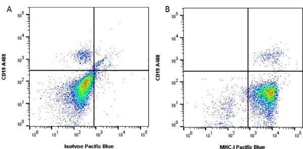 Figure A. Alexa Fluor<sup>&reg;</sup> 488 conjugated Mouse anti Human CD19 antibody, clone LT19 (<strong><a href="https://www.bio-rad-antibodies.com/product/partnumber/MCA1940A488.html"target="_blank">MCA1940A488</a></strong>) and Pacific Blue<sup>&reg;</sup> conjugated Mouse IgG1 isotype control (<strong><a href="https://www.bio-rad-antibodies.com/product/partnumber/MCA928PB.html"target="_blank">MCA928PB</a></strong>).<br>Figure B. Alexa Fluor<sup>&reg;</sup> 488 conjugated Mouse anti Human CD19 antibody, clone LT19 (<strong><a href="https://www.bio-rad-antibodies.com/product/partnumber/MCA1940A488.html"target="_blank">MCA1940A488</a></strong>) and Pacific Blue<sup>&reg;</sup> conjugated Mouse anti Human HLA ABC antibody, clone W6/32 (<strong>MCA81PB</strong>). All experiments performed on red cell lysed human blood gated on lymphocytes.<br>Data acquired on the <strong><a href="https://www.bio-rad.com/en-uk/product/ze5-cell-analyzer?ID=OC62Q015"target="_blank">ZE5 Cell Analyzer</a></strong>.