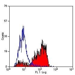 Flow cytometric staining of mouse peripheral blood granulocytes with Alexa Fluor<sup>&reg;</sup> 647 conjugated Rat anti Mouse beta-glucan receptor antibody, clone 2A11 (<strong>MCA2289A647</strong>).