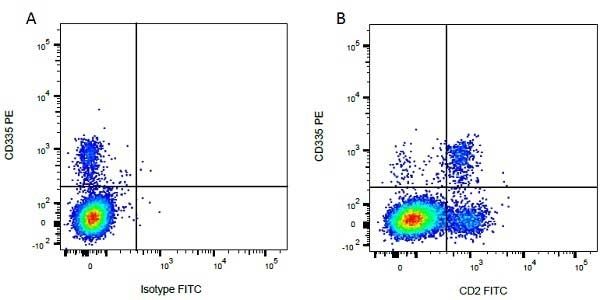 Figure A. RPE conjugated Mouse anti Bovine CD335 antibody, clone AKS1 (<strong>SM2227R</strong>) and FITC conjugated Mouse IgG1 isotype control (<strong><a href="https://www.bio-rad-antibodies.com/product/partnumber/MCA928F.html"target="_blank">MCA928F</a></strong>).<br>Figure B. RPE conjugated Mouse anti Bovine CD335 antibody, clone AKS1 (<strong>SM2227R</strong>) and FITC conjugated Mouse anti Bovine CD2 antibody, clone CC42 (<strong><a href="https://www.bio-rad-antibodies.com/product/partnumber/MCA833F.html"target="_blank">MCA833F</a></strong>). All experiments performed on red cell lysed bovine blood gated on mononuclear cells.