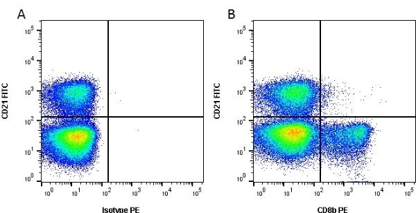 Figure A. FITC conjugated Mouse anti Bovine CD21 (<a href="https://www.bio-rad-antibodies.com/product/partnumber/MCA1424F.html">MCA1424F</a>) and RPE conjugated Mouse IgG1 isotype control (<a href="https://www.bio-rad-antibodies.com/product/partnumber/MCA928PE.html">MCA928PE</a>). Figure B. FITC conjugated Mouse anti Bovine CD21 (<a href="https://www.bio-rad-antibodies.com/product/partnumber/MCA1424F.html">MCA1424F</a>) and RPE conjugated Mouse anti Bovine CD8b (<strong>SM439R</strong>). All experiments performed on red cell lysed bovine blood gated on lymphocytes in the presence of 10% bovine serum. Data acquired on the ZE5 Cell Analyzer.