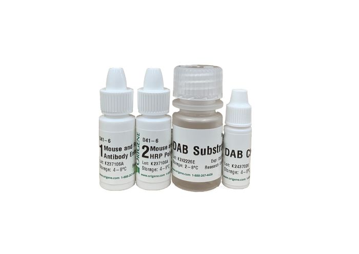 Polink-2 Plus HRP Broad Spectrum DAB Detection Kit