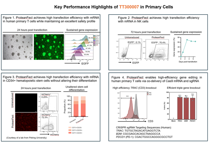 TT300007 Performance Highlights