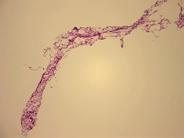4x Image