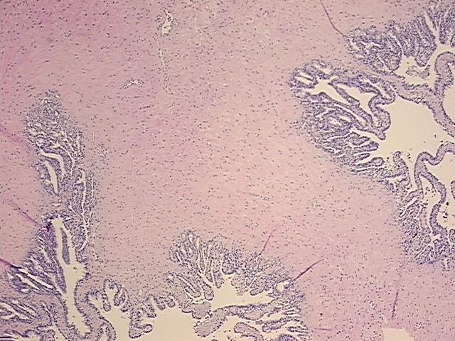 4x Image
