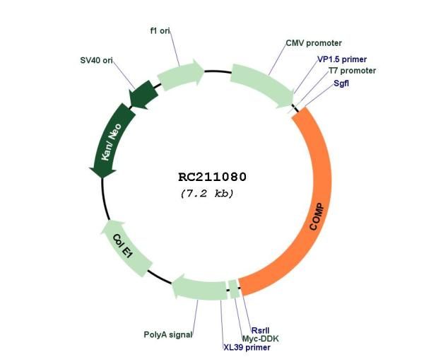 Circular map for RC211080