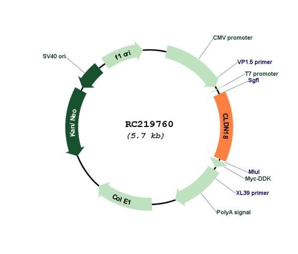 Circular map for RC219760