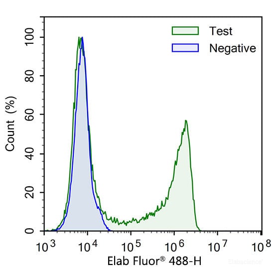 Assay Kit, Testing Data – Cat# MBS2570580