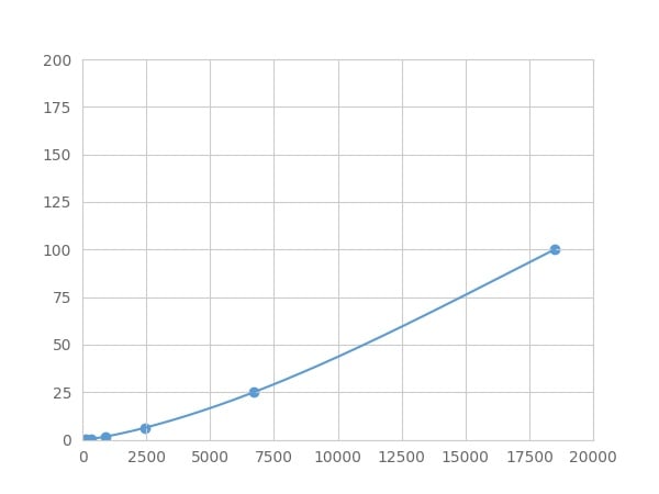 Human PAH Assay Kit – Cat# MBS2158839