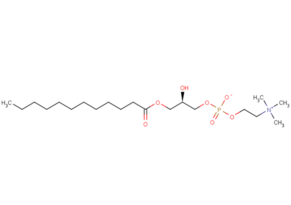 LysoFos Choline 12 Biochemical – Cat# MBS5825534