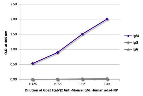 Goat Anti-IgM Secondary Antibody – Cat# MBS679274