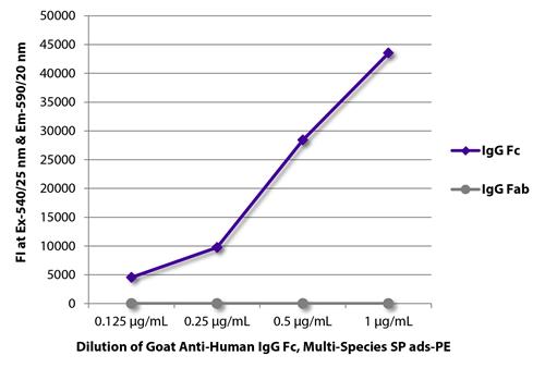Goat Anti-IgG Fc Secondary Antibody – Cat# MBS679292