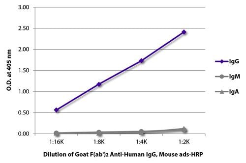 Goat Anti-IgG Secondary Antibody – Cat# MBS679297