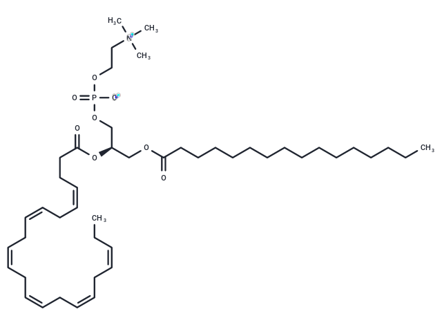 Palmitoyldocosahexaenoyl phosphatidylcholine (10 mg/mL in Chloroform)