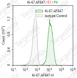 Anti-Ki-67 Antibody-AF647 (Ki-67)