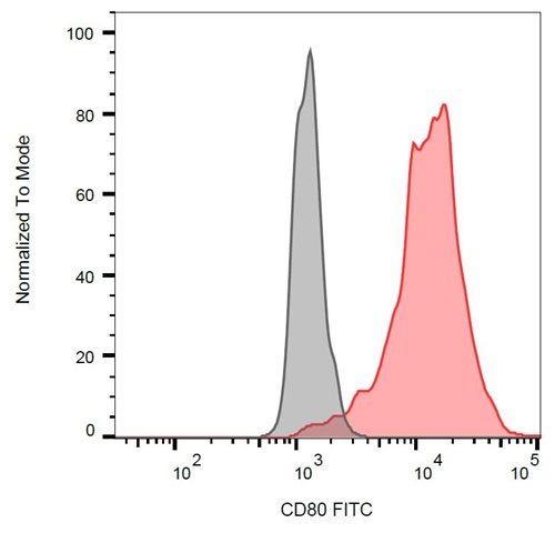 CD80