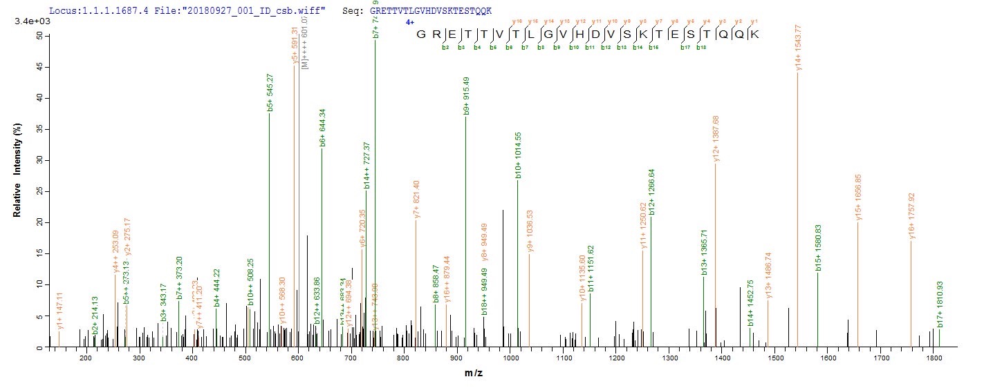 Mast Cell Protease 1, Recombinant, Rat, aa21-260, Myc-Tag