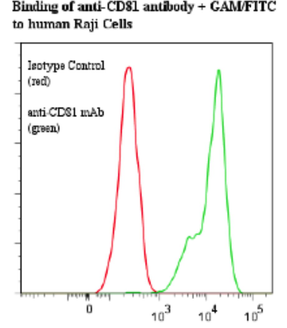 CD81