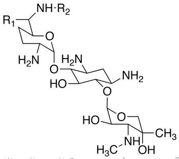 Gentamycin