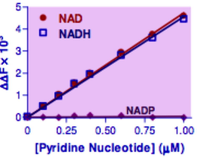 NAD/NADH Assay Kit