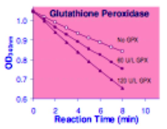 Glutathione Peroxidase Assay Kit, BioAssay&trade;