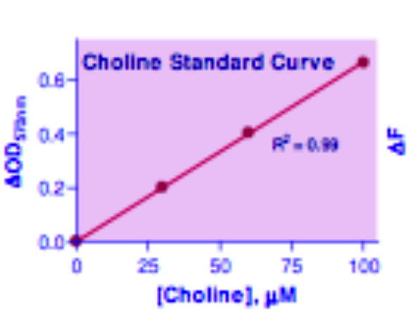 Choline Assay Kit, BioAssay™