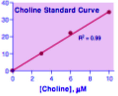 Choline Assay Kit, BioAssay™