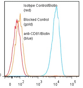 CD81