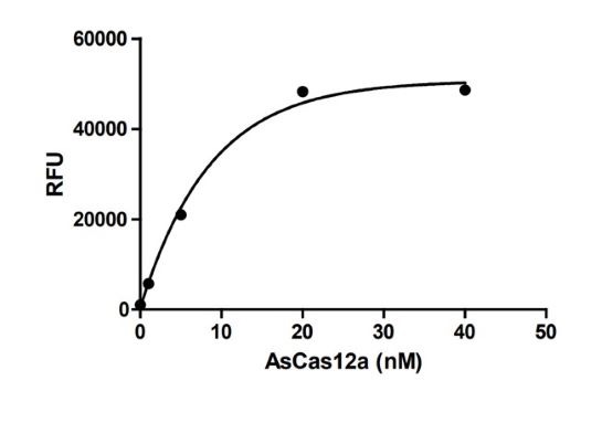 Cas12a, Recombinant, Acidaminococcus sp., His-Tag