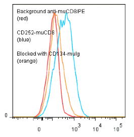 CD134 Human, IgG2a Fc Mouse, Fusion Protein