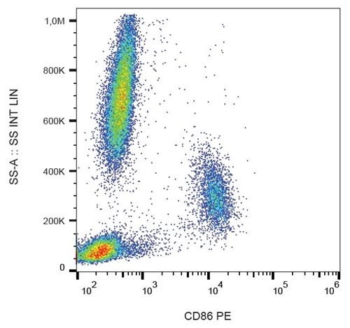 CD86