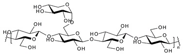 Xyloglucan