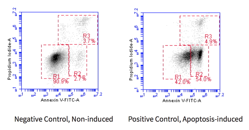 Annexin V-FITC Apoptosis Detection BioAssay™ Kit
