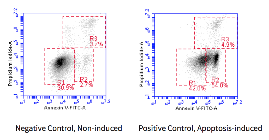 Annexin V-FITC Apoptosis Detection BioAssay™ Kit