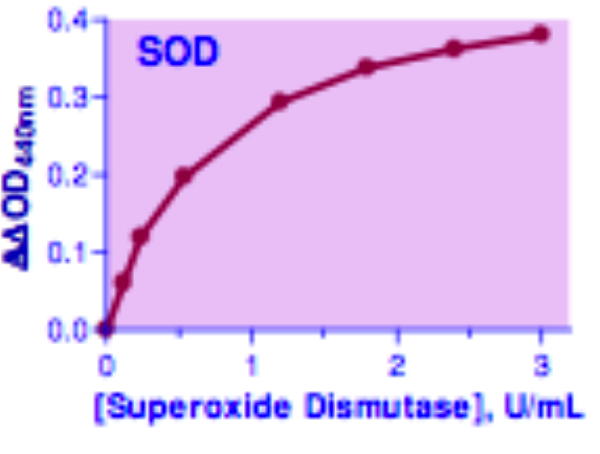 Superoxide Dismutase