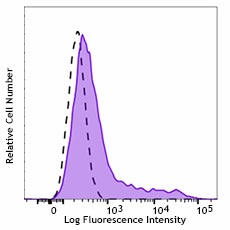 Keratan Sulfate