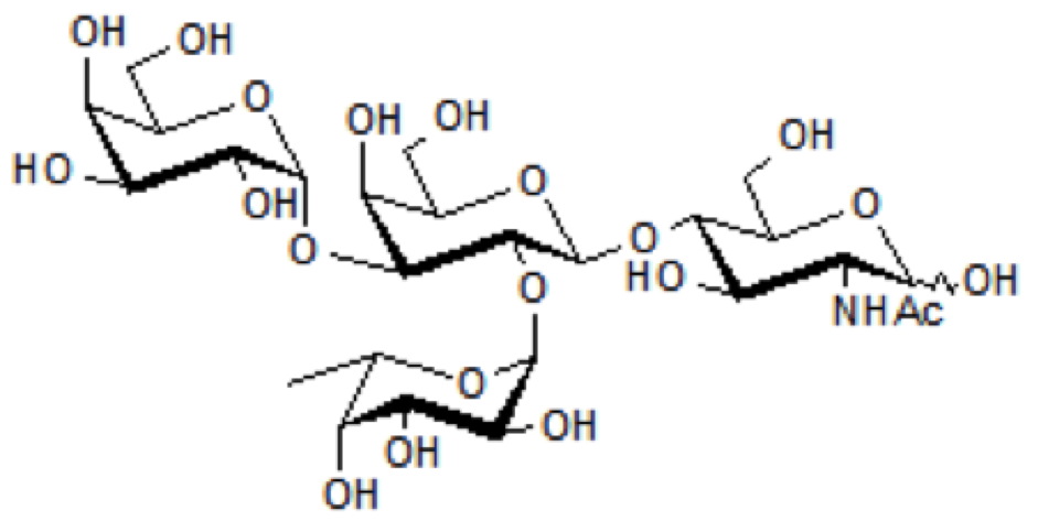 Blood Group B Type II Tetrasaccharide