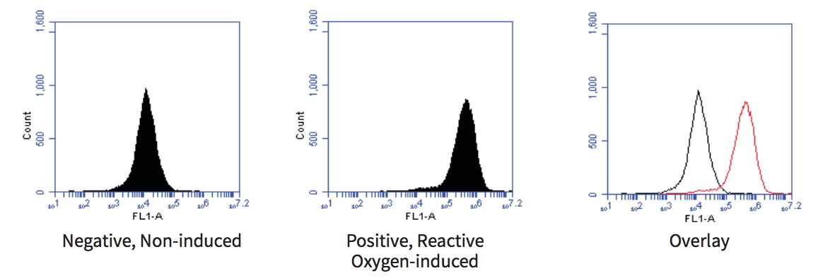 Intracellular Total ROS Activity BioAssay™ Kit