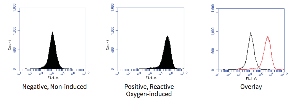 Intracellular Total ROS Activity BioAssay™ Kit