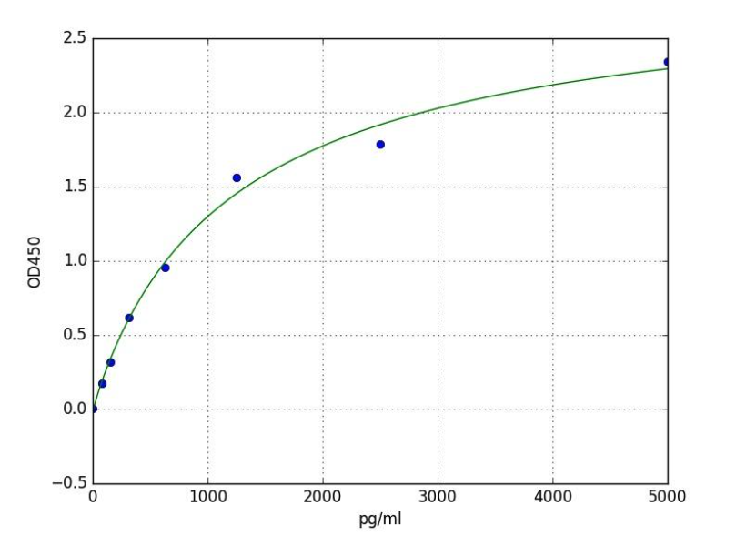 Creatine Kinase MB Isoenzyme