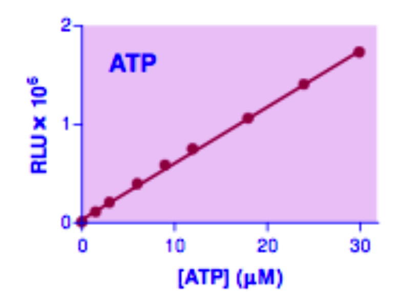 ATP Assay Kit, BioAssay™