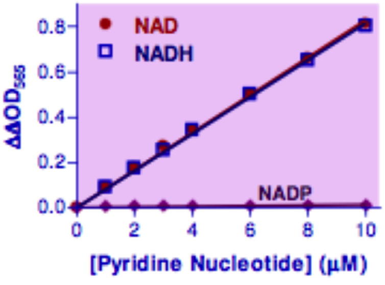 NAD/NADH Assay Kit